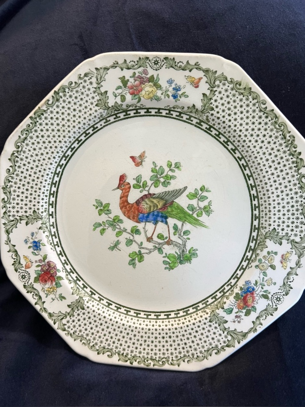 Antique Cauldon Porcelain Bird and Floral Plate (1880-1920)